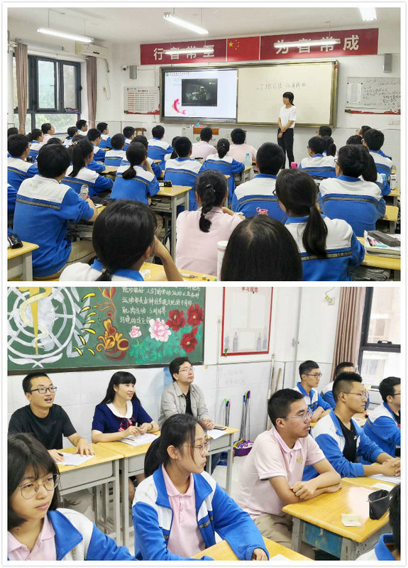 1561346186223479.jpeg 卢龙3.jpg