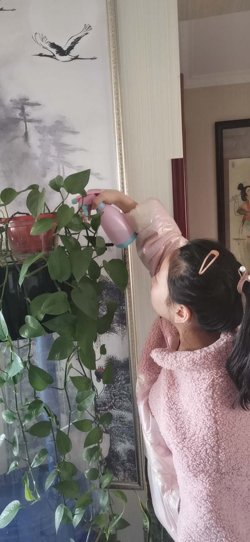 1585799119928087.jpeg 守护绿植1.jpg