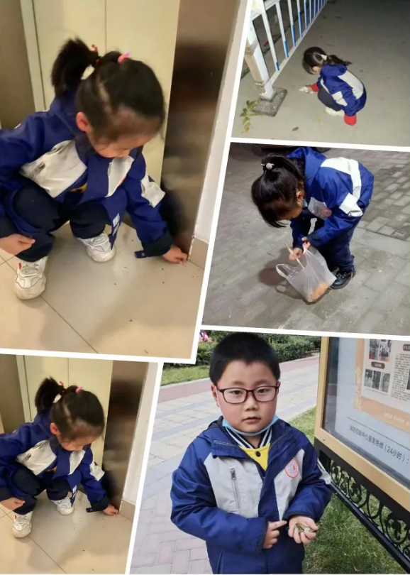 1609043698411256.png image.png