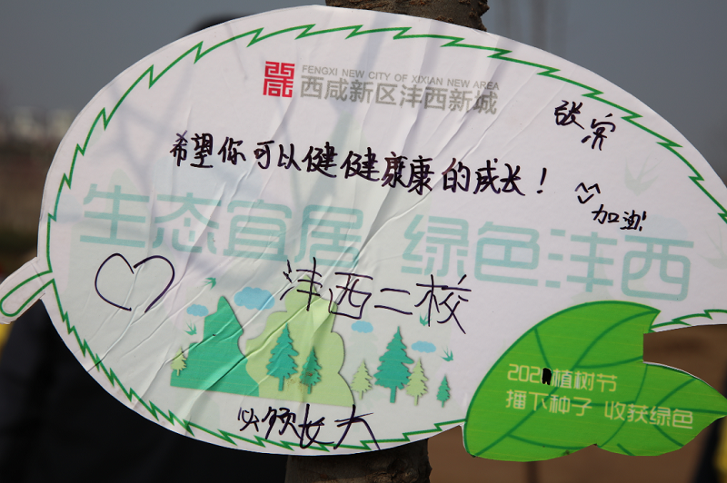 1615950519791679.png 31.png