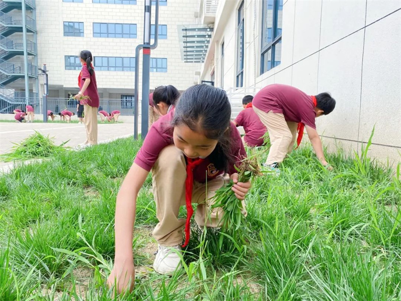 1670382182982363.jpeg 微信图片_20221207100309.jpg