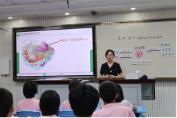 1684805296453127.png image.png