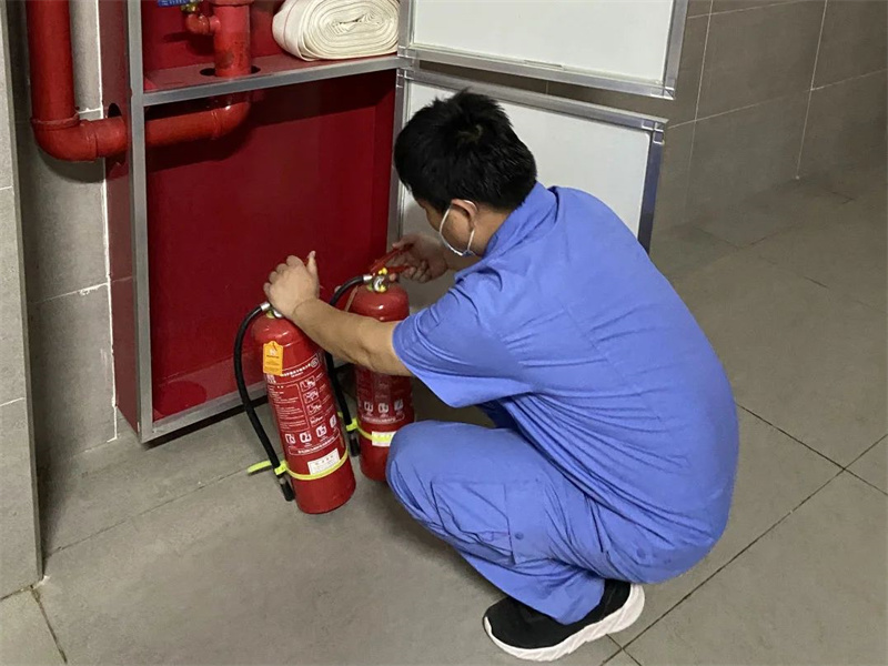 1703042581127699.jpeg 2.1.jpg